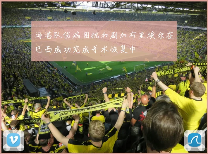 海港队伤病困扰加剧加布里埃尔在巴西成功完成手术恢复中